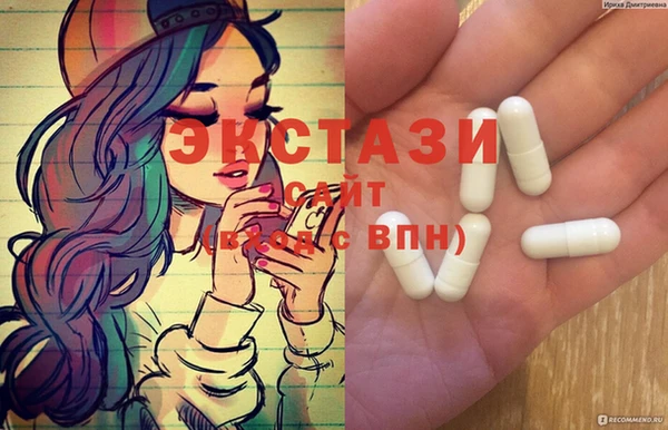 ECSTASY Богородицк